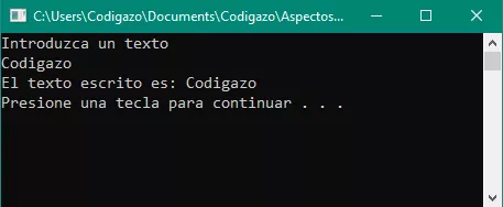 Captura de texto utilizando Cout