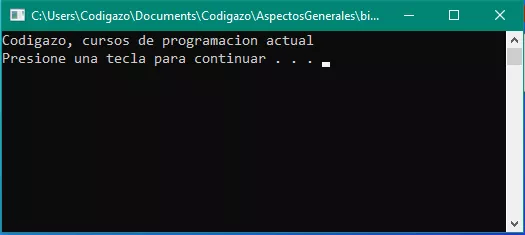 Ejemplo de codigo con error solucionado C++